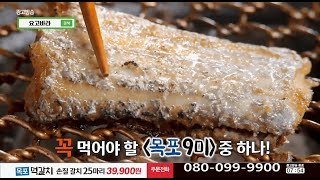 요고바라 목포 먹갈치