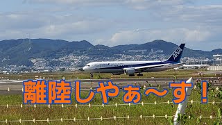 スレスレ旅客機　大阪豊中市千里川土手