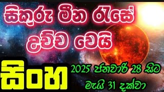 සිකුරු මීන රාශියේ උච්ච වී ප්‍රබල ග්‍රහ සංයෝගයක් සිංහ ලග්නය .  ජනවාරි 28 සිට මැයි 31 දක්වා