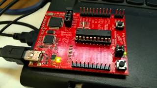 MSP430 PWM, Timer, and Interrupt Demonstration