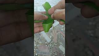 Cocunut leaf flower #shorts