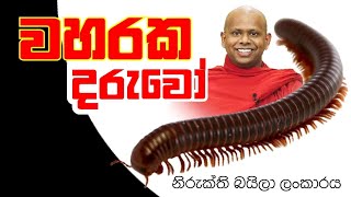 මහමෙව්නාවේ උපන් වහරක දරුවා/The child of a waharaka born in Mahamevna - talk with sanath