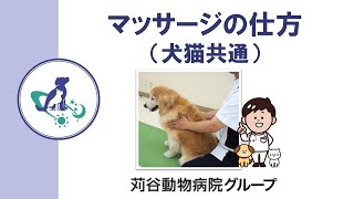 【獣医師監修】マッサージの仕方