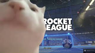 Cat vibing to Rocket League Intro [FHD]