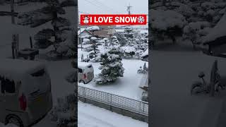 Experience Japan's Snowy Magic|Nihon🇯🇵|しろい ゆき|Japan Travel |short video