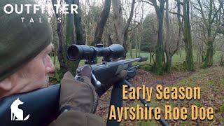 Ayrshire Roe