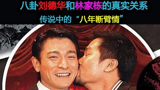 林家棟真的和劉德華關係曖昧嗎？聽聽當事人如何回應“斷背情”！