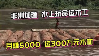 非洲水上运木工，运300万木材月薪5000，一不小心进监狱