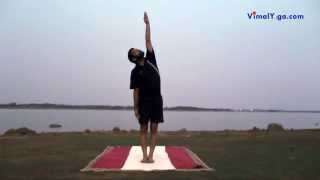 ताड़ासन Tadasana (Hindi)