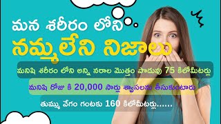 మన శరీరం లోని నమ్మలేని నిజాలు ...