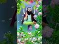 Dhan Guru Ravidas WhatsApp status #shorts Guru Ravidas WhatsApp status #shorts #shot