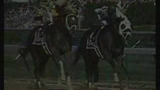 Greatest Kentucky Derby Highlight Video EVER