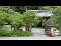 舞鶴花鳥風月【金剛院　2021年　夏】