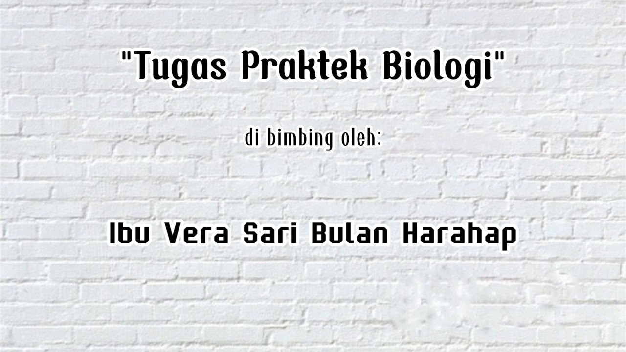 Tugas Praktek Biologi - YouTube