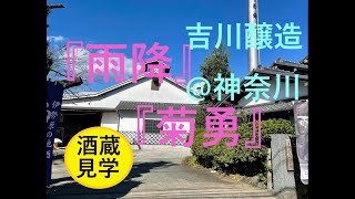 【酒蔵見学】「雨降」・「菊勇」リアル酒蔵見学ツアー（吉川醸造／神奈川県）