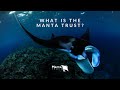 Manta Trust Introduction