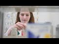 explore ndsu pharmacy