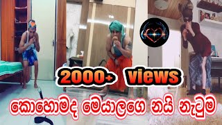 කොහොමද මෙයාලගෙ නයි නැටුම Amazing Musically Dubsmash Collection