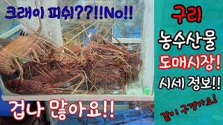 구리농수산도매시장에는 어떤 해산물이 있을까요??!!같이 구경가시죠!!The scenery of Korea's Guri fish market!!