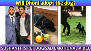 Sushanth dog sad moments |full emotion video|Ripshushanth