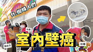 【室內壁癌】 牆面壁癌如何處理?? 解決壁癌問題交給它!! 防水材料首選－日本瑪克斯耐候型水泥，搭 配新品結合劑效果更好！！｜台灣雞絲頭｜防水水泥｜壁癌專用｜防水黑科技