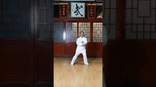 永春白鹤拳 帶胛戰(周將哲演示)