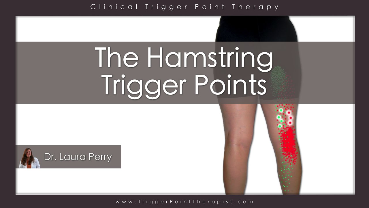 The Hamstring Trigger Points Youtube