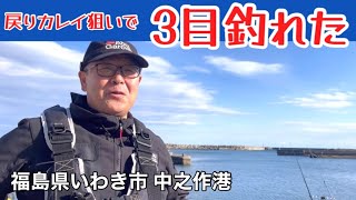 春の訪れ「戻りカレイ」狙いで3目ゲット　福島県いわき市中之作港　2023年2月25日