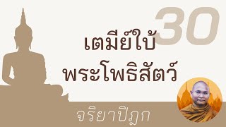 เตมีย์ใบ้ พระโพธิสัตว์ | จริยาปิฎก 30 พระอาจารย์ สมบัติ นันทิโก