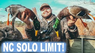 Solo NC Duck Hunt on Last Day of Season!