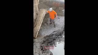 Construction worker lifts board muskrat runs