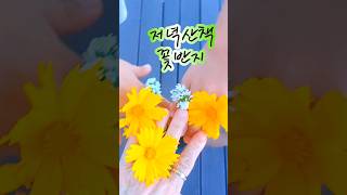 꽃반지 끼고🌼🏵🍀🎶저녁산책🚶‍♂️🚶‍♀️🏃🏃‍♀️‍➡️😍🇰🇷