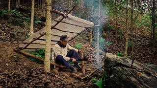 2 DAYS solo SURVIVAL CAMPING in Forest