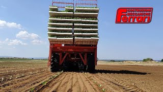 Ferrari Futura Transplanter – Self propelled