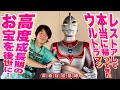 【本当に帰ってきたウルトラマン】フルレストアで巨大帰りマンが令和に復活‼︎高度成長期のお宝を次世代に引き継ぐ…当時を完全再現。