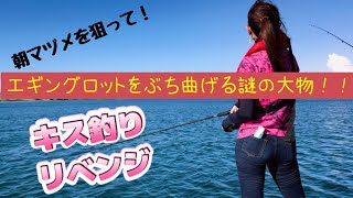 【キス釣り】朝マズメ狙いでの釣行でエギングロッドがぶち曲がる!?