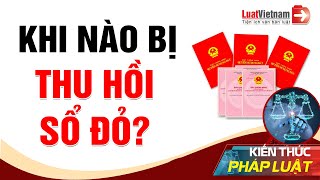 Các Trường Hợp Bị Thu Hồi Sổ Đỏ | LuatVietnam