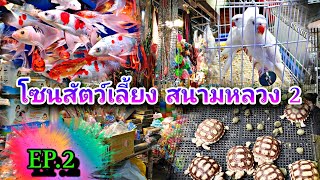 ตลาดสัตว์เลี้ยง ที่ตลาดสนามหลวง2 #NCO544