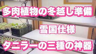 『多肉植物』『ガーデニング』287   多肉植物の冬越し準備　揃えておきたいアイテム　【雪国仕様】