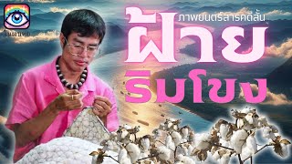 สารคดี ฝ้ายริมโขง : เมื่อดอกฝ้ายลดลง ชีวิตกะเทยริมโขงก็เปลี่ยนไป!