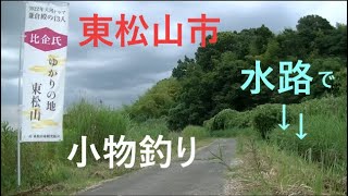 東松山市の水路で小物釣り【東松山市】☆smallfishing in Saitama  Japan☆