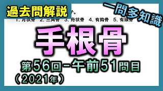 【過去問解説：第56回国家試験-午前51問目】手根骨【理学療法士・作業療法士・看護・柔整・鍼灸】