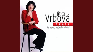 Navoněný Blues (feat. Petr Čerbák)