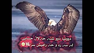 ｂｅｌｏｇｏ وەیە پۆست و ئیدیت بێ لایک مەرۆ !🙂🤟🏻‎ ئانیستاگرام rasha.sult4n.officaill