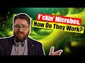 There's Too Many Microbes for Evolution!
