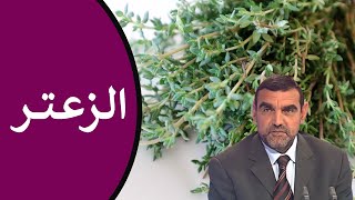 فوائد الزعتر / لتطهير الجهاز الهضمي من الجراثيم والتسممات، ولتقوية المناعة / محمد الفايد / نخل ورمان