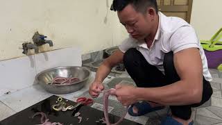 Cách chế biến thịt rắn ráo rút xương xào sả ớt siêu nhanh và siêu ngon của ông chủ quán thịt rắn