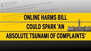 Jordan Peterson Explains Online Harms Act ​(Bill C63​)