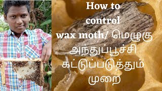 How to control wax moth/மெழுகு அந்துப்பூச்சி கட்டுப்படுத்தும் முறை