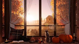 Cozy Window Reading Nook on a Sunny Autumn Day - Natural Sounds for reading or relaxing